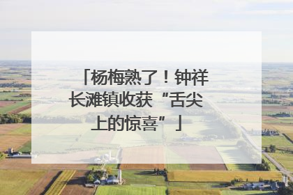 杨梅熟了！钟祥长滩镇收获“舌尖上的惊喜”