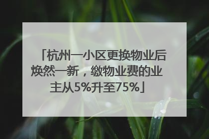 杭州一小区更换物业后焕然一新，缴物业费的业主从5%升至75%
