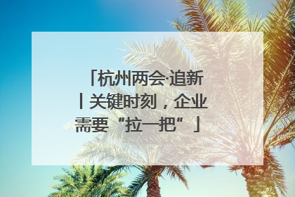 杭州两会·追新丨关键时刻，企业需要“拉一把”