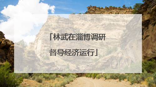 林武在淄博调研督导经济运行