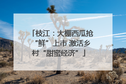 枝江：大棚西瓜抢“鲜”上市 激活乡村“甜蜜经济”