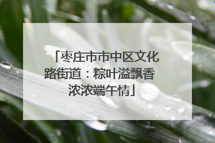 枣庄市市中区文化路街道：粽叶溢飘香 浓浓端午情