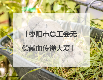 枣阳市总工会无偿献血传递大爱