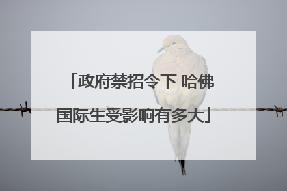 政府禁招令下 哈佛国际生受影响有多大