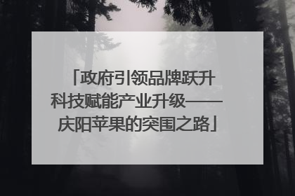 政府引领品牌跃升 科技赋能产业升级——庆阳苹果的突围之路
