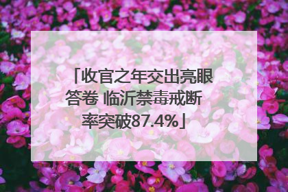 收官之年交出亮眼答卷 临沂禁毒戒断率突破87.4%