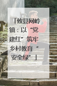 攸县网岭镇：以“党建红”筑牢乡村教育“安全绿”
