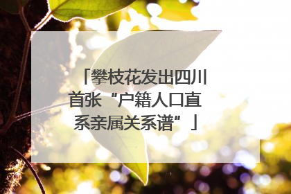 攀枝花发出四川首张“户籍人口直系亲属关系谱”