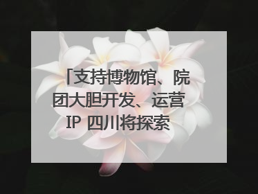 支持博物馆、院团大胆开发、运营IP 四川将探索建立新的收入分配激励机制｜新闻发布最前线
