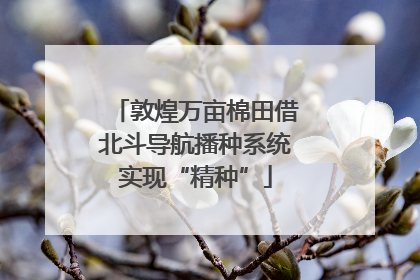 敦煌万亩棉田借北斗导航播种系统实现“精种”