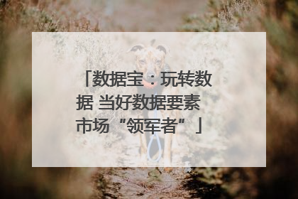 数据宝：玩转数据 当好数据要素市场“领军者”