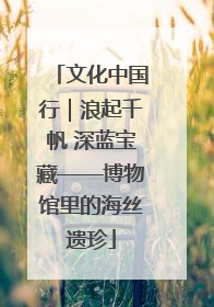 文化中国行｜浪起千帆 深蓝宝藏——博物馆里的海丝遗珍