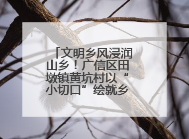文明乡风浸润山乡！广信区田墩镇黄坑村以“小切口”绘就乡村振兴大图景