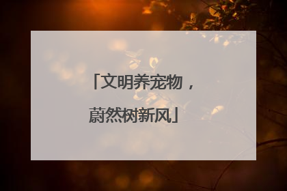 文明养宠物，蔚然树新风