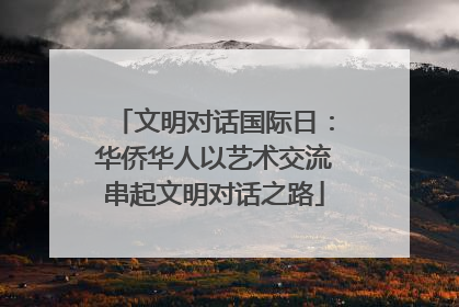 文明对话国际日：华侨华人以艺术交流串起文明对话之路