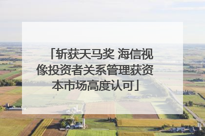 斩获天马奖 海信视像投资者关系管理获资本市场高度认可