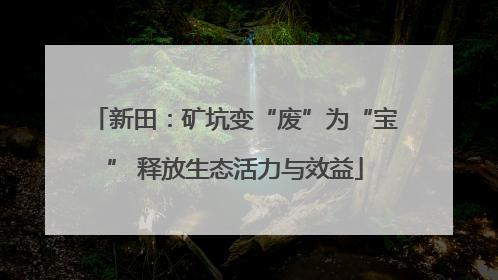 新田：矿坑变“废”为“宝” 释放生态活力与效益