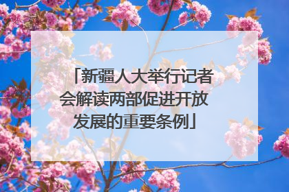 新疆人大举行记者会解读两部促进开放发展的重要条例