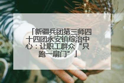新疆兵团第三师四十四团永安镇综治中心：让职工群众“只跑一扇门”