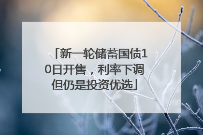 新一轮储蓄国债10日开售，利率下调但仍是投资优选