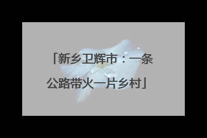 新乡卫辉市：一条公路带火一片乡村