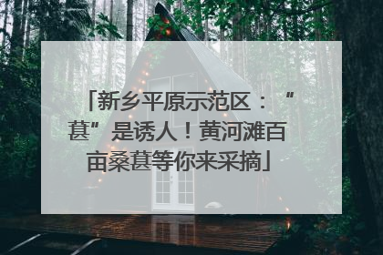 新乡平原示范区：“葚”是诱人！黄河滩百亩桑葚等你来采摘