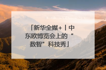 新华全媒+丨中东欧博览会上的“数智”科技秀
