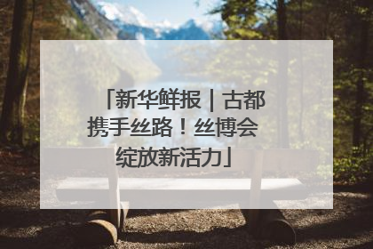 新华鲜报｜古都携手丝路！丝博会绽放新活力