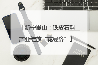 新宁崀山：铁皮石斛产业绽放“花经济”