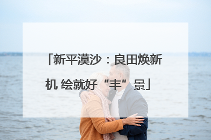 新平漠沙：良田焕新机 绘就好“丰”景