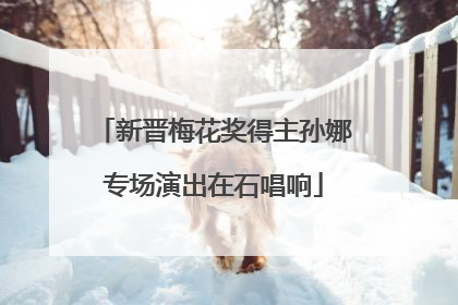 新晋梅花奖得主孙娜专场演出在石唱响