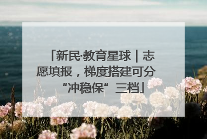 新民·教育星球｜志愿填报，梯度搭建可分“冲稳保”三档