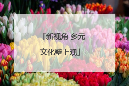 新视角 多元文化壁上观