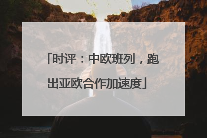 时评：中欧班列，跑出亚欧合作加速度