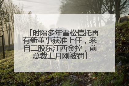 时隔多年雪松信托再有新董事获准上任，来自二股东江西金控，前总裁上月刚被罚