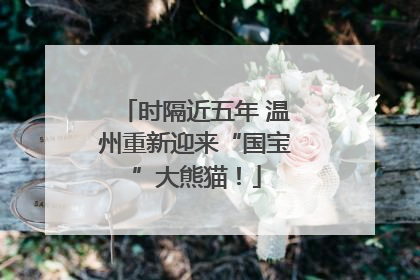 时隔近五年 温州重新迎来“国宝”大熊猫！