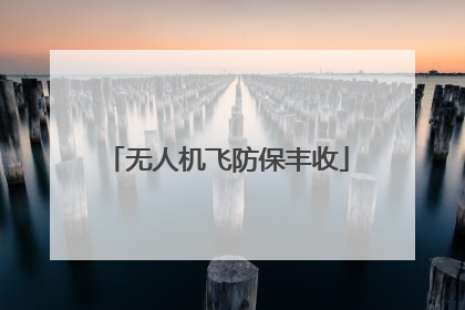无人机飞防保丰收