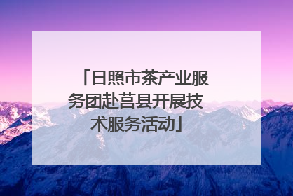 日照市茶产业服务团赴莒县开展技术服务活动