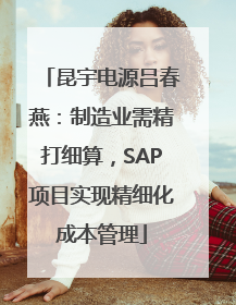 昆宇电源吕春燕：制造业需精打细算，SAP项目实现精细化成本管理
