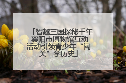 智趣三国探秘千年 襄阳市博物馆互动活动引领青少年“闯关”学历史