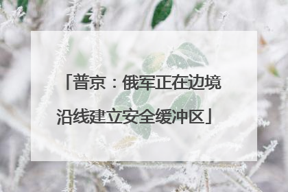 普京：俄军正在边境沿线建立安全缓冲区
