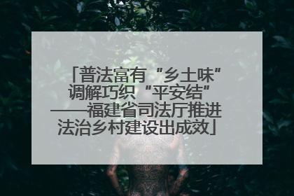 普法富有“乡土味” 调解巧织“平安结”——福建省司法厅推进法治乡村建设出成效