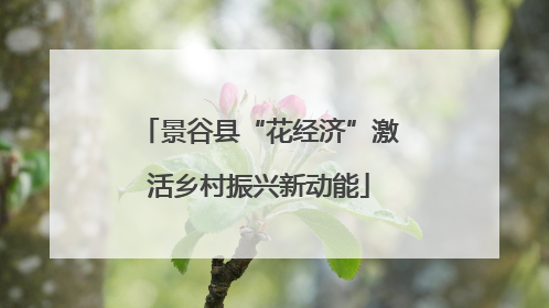 景谷县“花经济”激活乡村振兴新动能