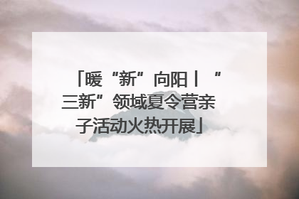 暖“新”向阳丨“三新”领域夏令营亲子活动火热开展