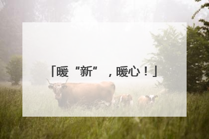 暖“新”，暖心！
