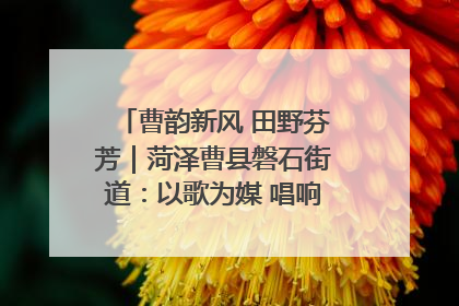 曹韵新风 田野芬芳｜菏泽曹县磐石街道：以歌为媒 唱响乡土“新歌声”