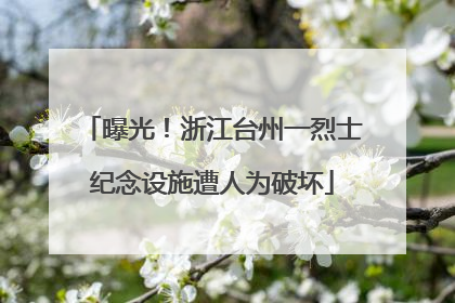 曝光！浙江台州一烈士纪念设施遭人为破坏