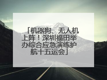 机器狗、无人机上阵！深圳福田举办综合应急演练护航十五运会