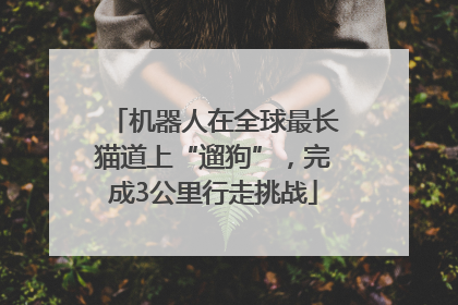 机器人在全球最长猫道上“遛狗”，完成3公里行走挑战
