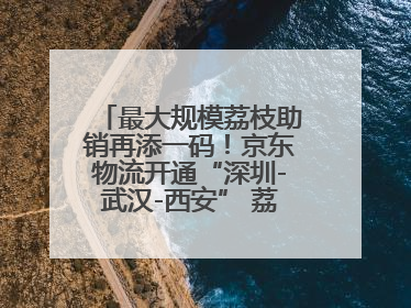 最大规模荔枝助销再添一码！京东物流开通“深圳-武汉-西安” 荔枝全货机航线